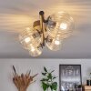 CHEHALIS Ceiling Light - glass clear, 4-light sources