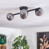 CHEHALIS Ceiling Light - glass Smoke-coloured, 4-light sources