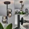 CHEHALIS Ceiling Light - glass Smoke-coloured, 4-light sources