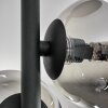 CHEHALIS Ceiling Light - glass Smoke-coloured, 4-light sources