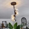 CHEHALIS Ceiling Light - glass clear, 4-light sources