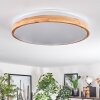 SOFO Ceiling Light LED white, 1-light source, Remote control