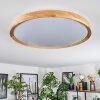 SOFO Ceiling Light LED white, 1-light source, Remote control