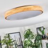 SOFO Ceiling Light LED white, 1-light source, Remote control