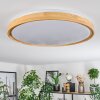 SOFO Ceiling Light LED white, 1-light source, Remote control