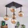 CHEHALIS Ceiling Light - glass gold, black, 5-light sources