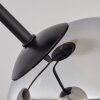 KOYOTO Ceiling Light - glass chrome, Smoke-coloured, 3-light sources