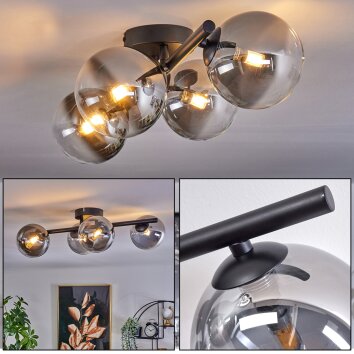 CHEHALIS Ceiling Light - glass clear, Smoke-coloured, 4-light sources