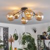CHEHALIS Ceiling Light - glass gold, black, 6-light sources