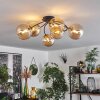 CHEHALIS Ceiling Light - glass gold, black, 6-light sources