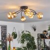 CHEHALIS Ceiling Light - glass gold, black, 6-light sources