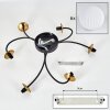CHEHALIS Ceiling Light - glass gold, black, 6-light sources