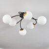 CHEHALIS Ceiling Light - glass gold, black, 6-light sources
