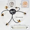 CHEHALIS Ceiling Light - glass gold, black, 6-light sources