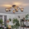 CHEHALIS Ceiling Light - glass gold, black, 6-light sources