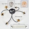 CHEHALIS Ceiling Light - glass gold, black, 6-light sources