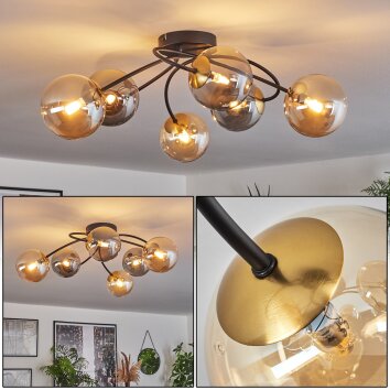 CHEHALIS Ceiling Light - glass gold, black, 6-light sources
