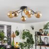 CHEHALIS Ceiling Light - glass gold, black, 6-light sources
