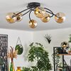 CHEHALIS Ceiling Light - glass gold, black, 6-light sources