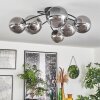 CHEHALIS Ceiling Light - glass Smoke-coloured, 6-light sources