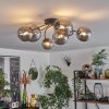 CHEHALIS Ceiling Light - glass Smoke-coloured, 6-light sources