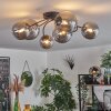 CHEHALIS Ceiling Light - glass Smoke-coloured, 6-light sources