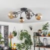CHEHALIS Ceiling Light - glass Amber, Smoke-coloured, 6-light sources