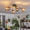 CHEHALIS Ceiling Light - glass Amber, Smoke-coloured, 6-light sources
