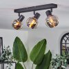 CEVIO Ceiling Light black, 3-light sources