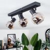 CEVIO Ceiling Light black, 3-light sources