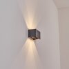TAMARIN Outdoor Wall Light LED anthracite, 1-light source