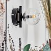 CHEHALIS Wall Light - glass clear, 1-light source