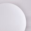 CHEHALIS Ceiling Light - glass white, 5-light sources