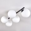 CHEHALIS Ceiling Light - glass white, 5-light sources