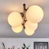 CHEHALIS Ceiling Light - glass white, 5-light sources