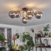 CHEHALIS Ceiling Light - glass Smoke-coloured, 6-light sources