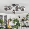 CHEHALIS Ceiling Light - glass Smoke-coloured, 6-light sources