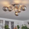 CHEHALIS Ceiling Light - glass Smoke-coloured, 6-light sources