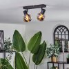 CEVIO Ceiling Light black, 2-light sources