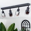 LETEQUE Ceiling Light black, 4-light sources