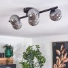 CHEHALIS Ceiling Light - glass Smoke-coloured, 5-light sources