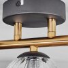 CHEHALIS Ceiling Light - glass gold, black, 3-light sources