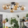 CHEHALIS Ceiling Light - glass Amber, 6-light sources
