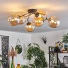 CHEHALIS Ceiling Light - glass Amber, 6-light sources