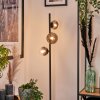 REMAISNIL Floor Lamp - glass clear, Smoke-coloured, 3-light sources