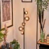 REMAISNIL Floor Lamp - glass Smoke-coloured, 5-light sources
