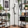 REMAISNIL Floor Lamp - glass clear, Smoke-coloured, 6-light sources