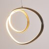 Harpeth Pendant Light LED matt nickel, 1-light source