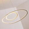 Harpeth Pendant Light LED matt nickel, 1-light source