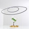 Harpeth Pendant Light LED black, 1-light source